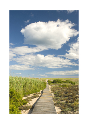 Path to the beach